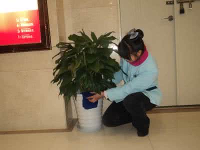 保洁托管