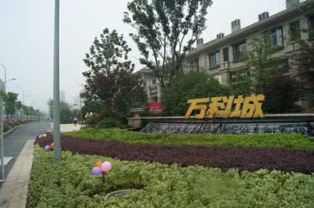 案例展示